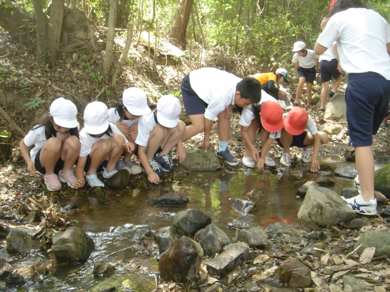 箱作小学校４年学習サポート「茶屋川探検　Ⅰ（上・中流）・・・うみべの森を育てる会サポート_c0108460_22530199.jpg