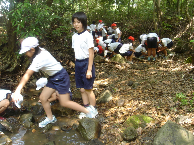 箱作小学校４年学習サポート「茶屋川探検　Ⅰ（上・中流）・・・うみべの森を育てる会サポート_c0108460_22550077.jpg