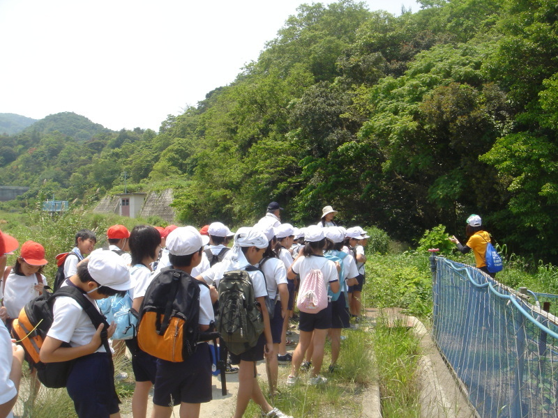 箱作小学校４年学習サポート「茶屋川探検　Ⅰ（上・中流）・・・うみべの森を育てる会サポート_c0108460_22563256.jpg