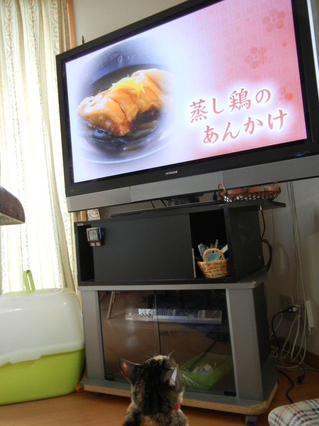 ’15,1,22(木)パパのお誕生日!_f0060461_11401796.jpg