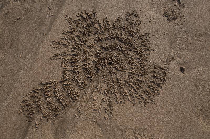 c0248100_20331310.jpg