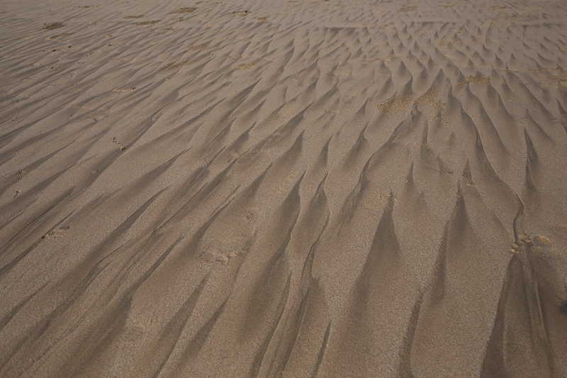 c0248100_20431614.jpg
