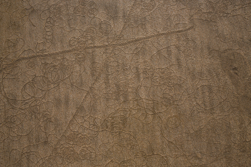 c0248100_20435456.jpg
