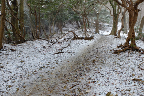 e0304001_229114.jpg