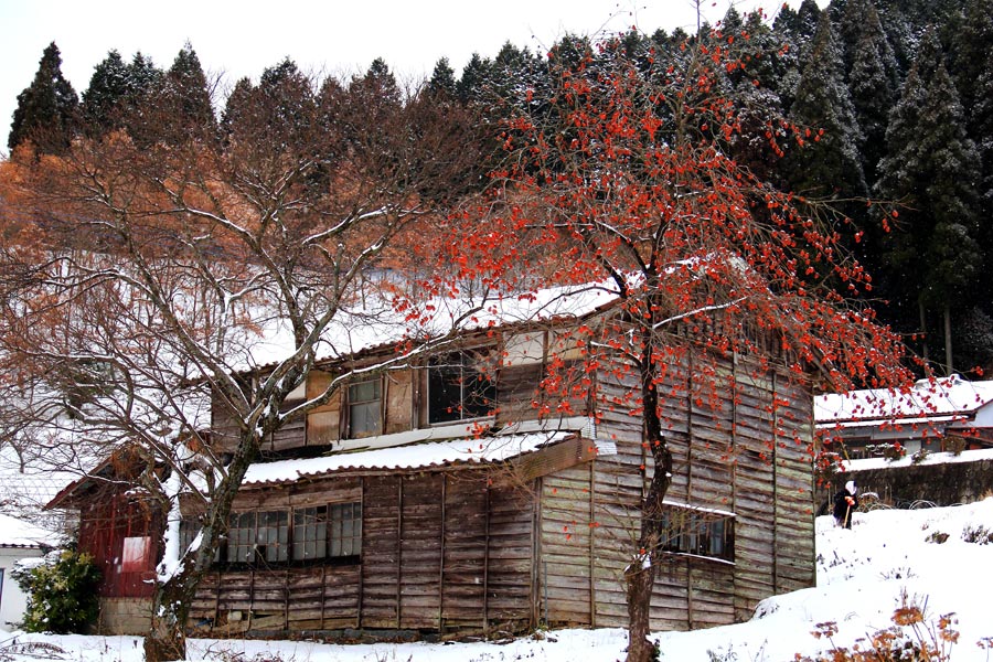 三瀬の雪景色_e0093903_18531842.jpg