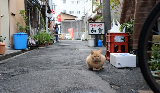  移り変わる景色（町なみ）_a0249004_14574941.jpg