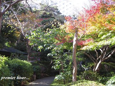 東京庭園散歩・・・♪_c0098807_17491830.jpg
