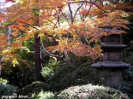 東京庭園散歩・・・♪_c0098807_1915999.jpg