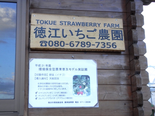 江の島オッパーラのパンケーキがっ??新しくなったのっ?!_d0106911_23245679.jpg