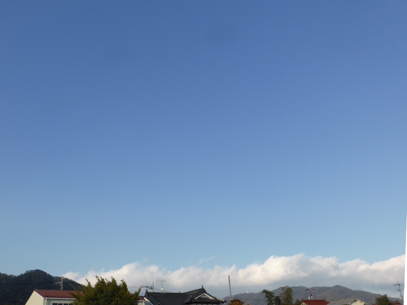 b0057612_13531885.jpg