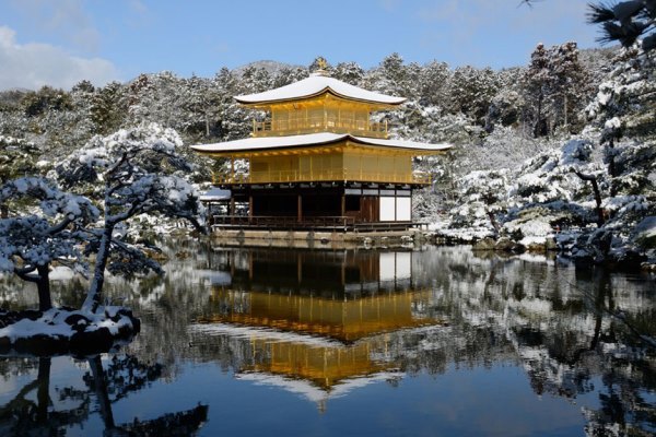 柏原さんの写真です 京都冬景色 素敵な仲間