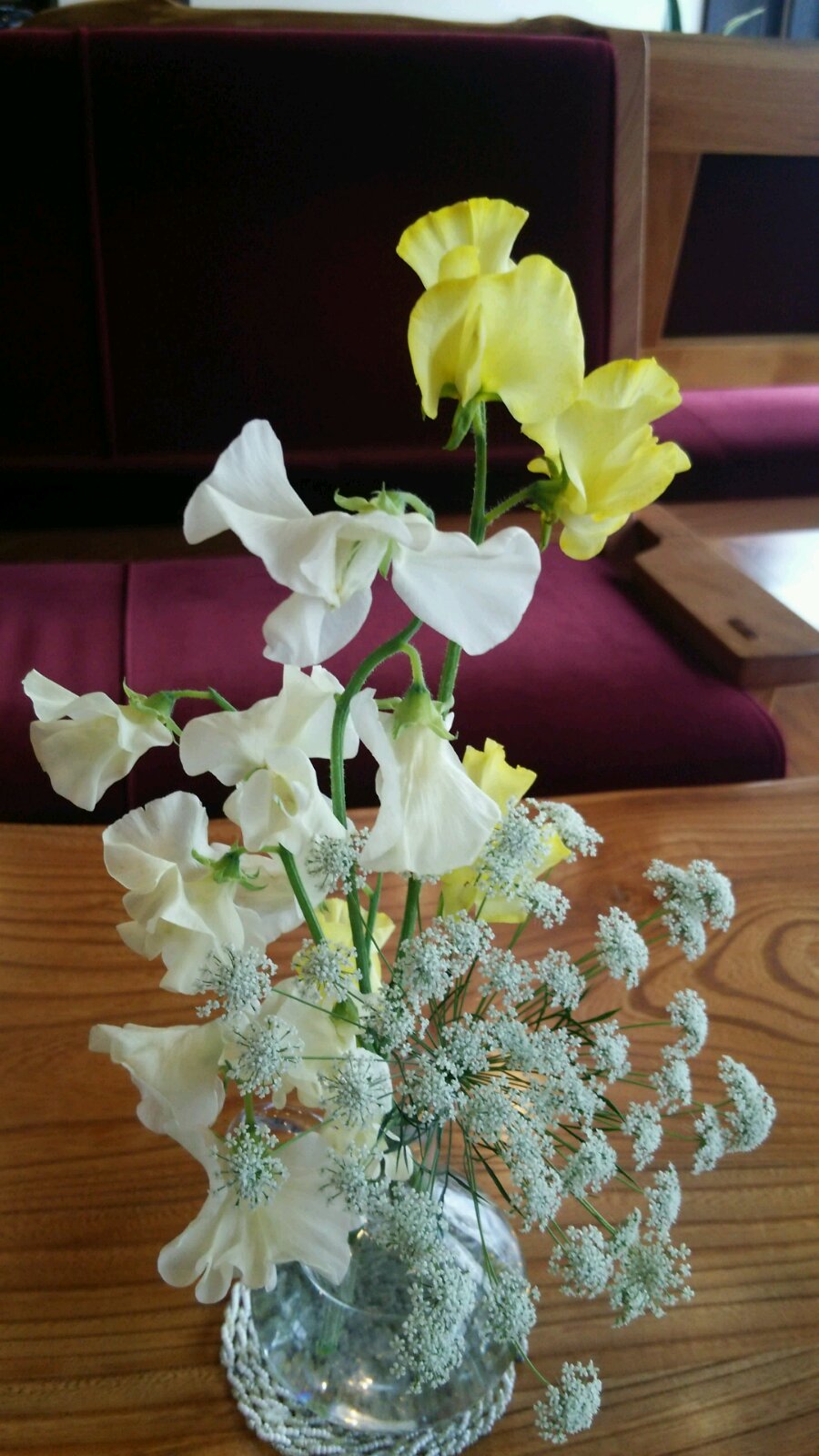 春の花_c0213830_1345199.jpg