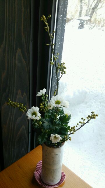 春の花_c0213830_13454091.jpg