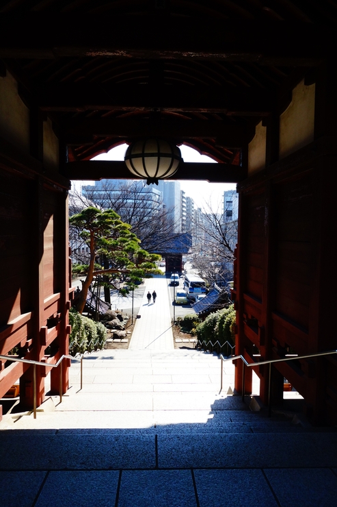 a0287336_22253715.jpg