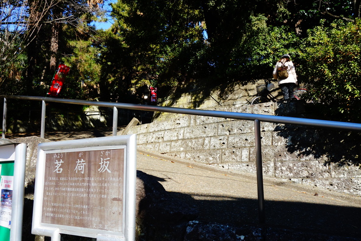 a0287336_2325201.jpg