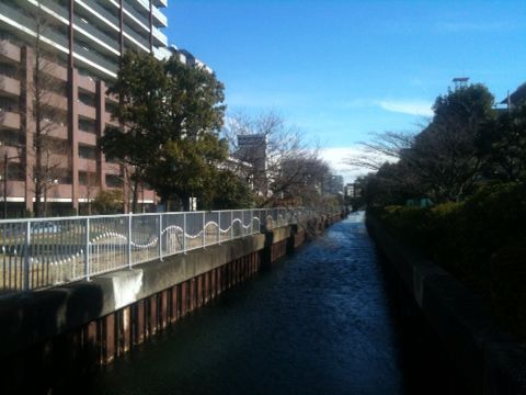 横十間川親水公園(江東区)(1月23日)_e0213636_17404630.jpg