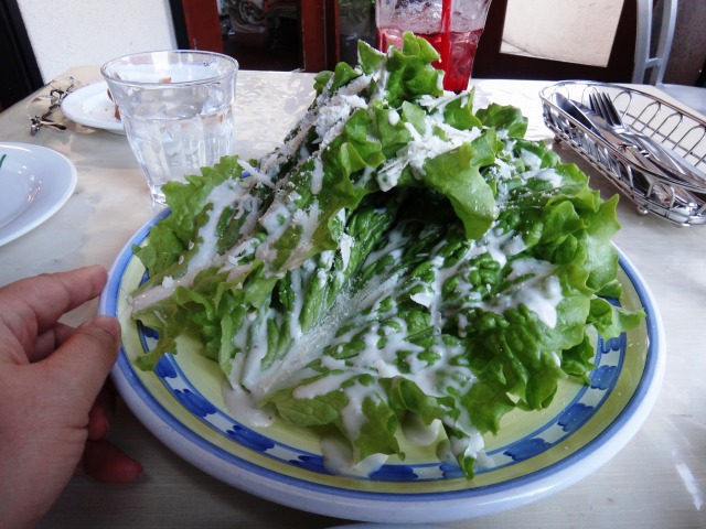 ランチ&ドッグラン@川の公園_e0195743_20284758.jpg