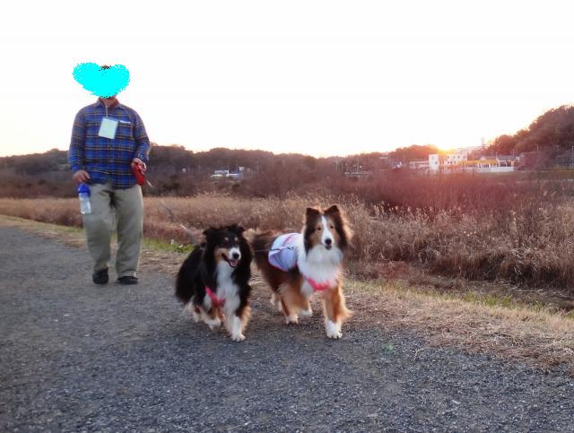 ランチ&ドッグラン@川の公園_e0195743_20312367.jpg