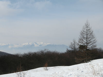2月1日のスノーシュー下見_f0019247_15582370.jpg