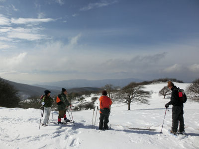 2月1日のスノーシュー下見_f0019247_15593276.jpg