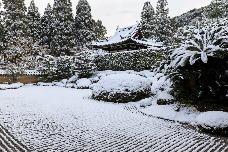 酬恩庵・一休寺の雪景色（方丈庭園編）_f0155048_20473051.jpg