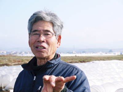 完熟紅ほっぺ 2番果が順調に実り朝摘み好評発売中&ミツバチのお話し_a0254656_192652100.jpg