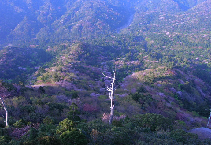 b0160957_10331533.jpg