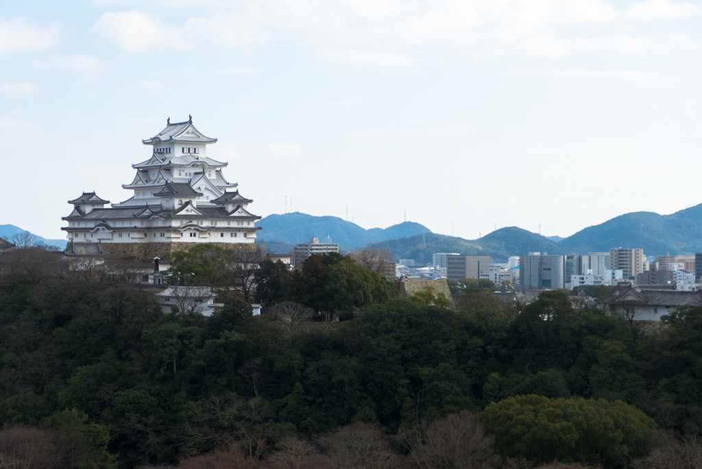 男山配水池公園より姫路城ロケハン_e0174074_15314923.jpg