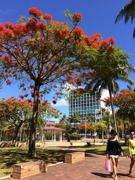 c0013687_1721114.jpg