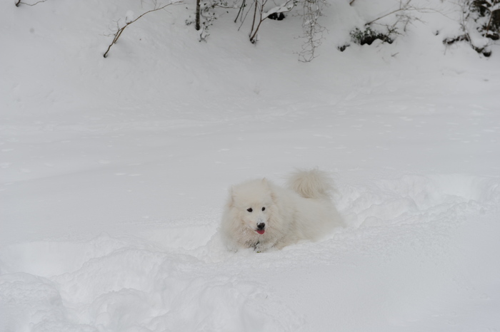 プチ新年会＆雪遊び_a0049296_18183916.jpg