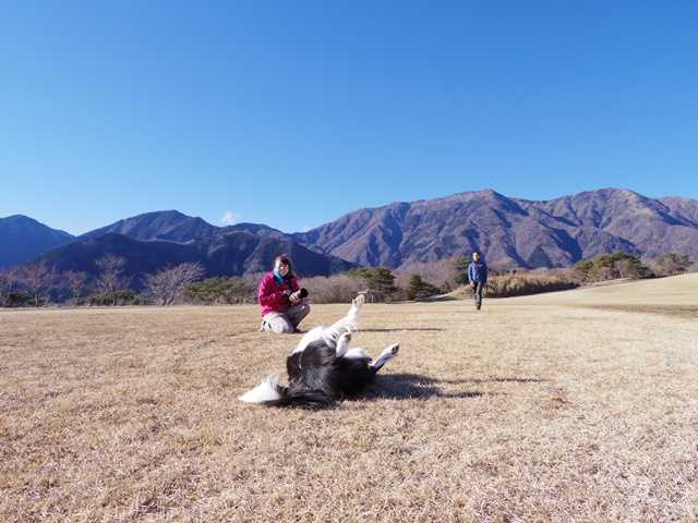 ◆ハク家と富士山へ　２_b0204498_0383294.jpg