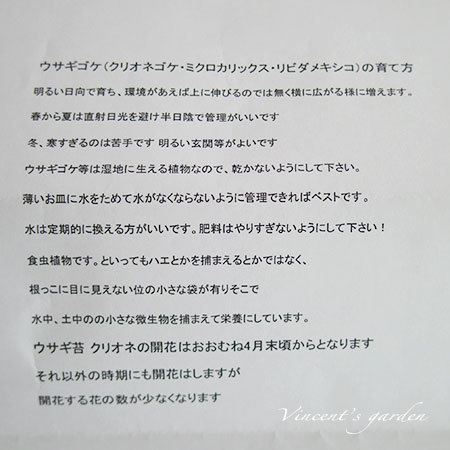 a0311200_13004450.jpg