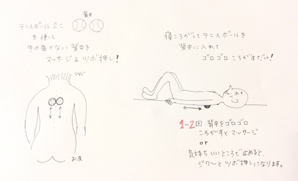テニスボールで背中をマッサージ いい姿勢は美と健康の第一歩 鍼灸でいい姿勢になろう 女性鍼灸師のブログ テニスボールで背中をマッサージ いい姿勢は美と健康の第一歩 鍼灸でいい姿勢になろう 女性鍼灸師のブログ