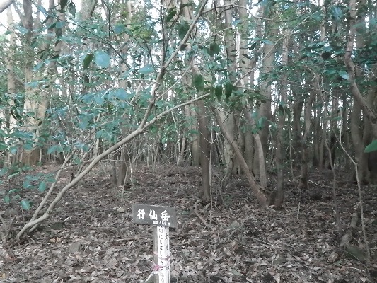 f0187402_2063362.jpg