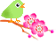 f0231709_1752749.gif