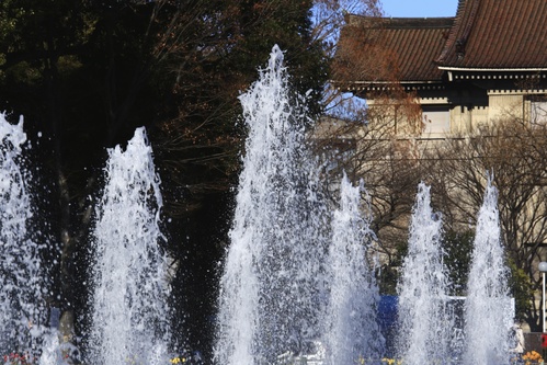 c0186410_20234587.jpg