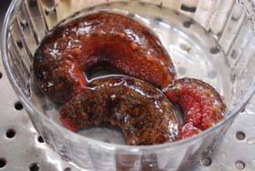 ナマコ捌いた カリノ トウコ ナマコ捌いた カリノ トウコ