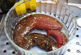 ナマコ捌いた カリノ トウコ ナマコ捌いた カリノ トウコ