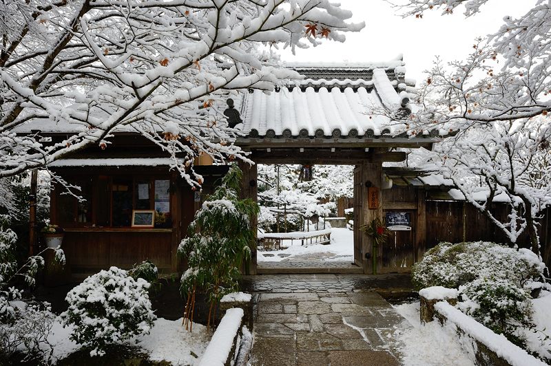 2015京の雪景色@大原 宝泉院_f0032011_1919014.jpg