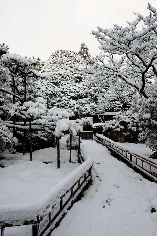 2015京の雪景色@大原 宝泉院_f0032011_19192495.jpg