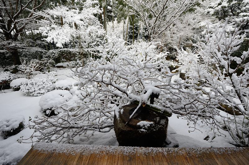 2015京の雪景色@大原 宝泉院_f0032011_19221539.jpg