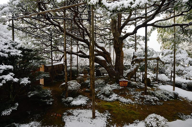 2015京の雪景色@大原 宝泉院_f0032011_19271087.jpg