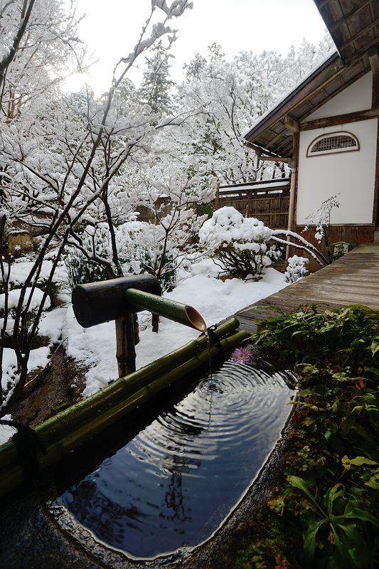 2015京の雪景色@大原 宝泉院_f0032011_19305555.jpg