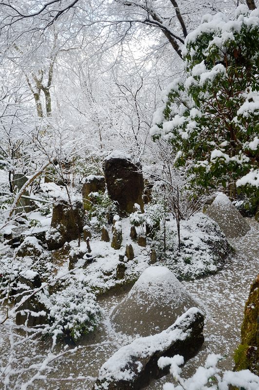 2015京の雪景色@大原 宝泉院_f0032011_1933392.jpg