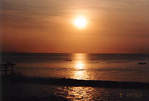 f0032812_20354712.jpg