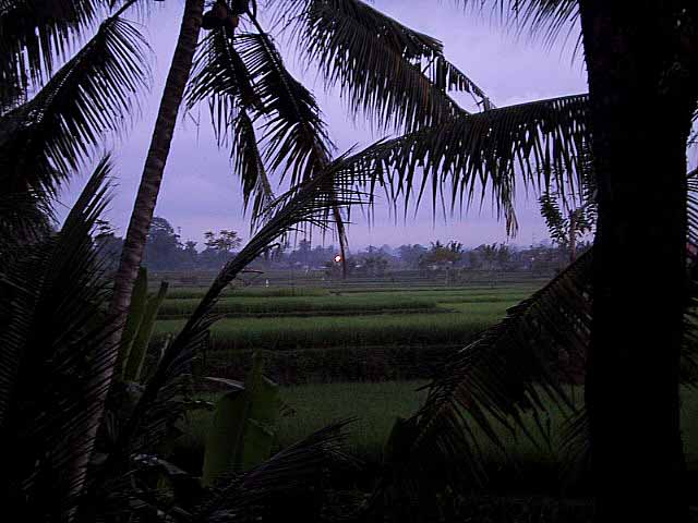 f0032812_21393182.jpg