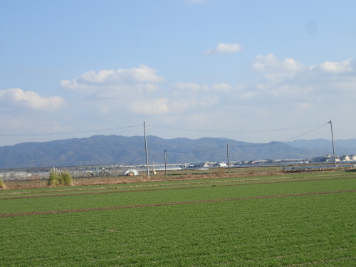 a0315918_16530802.jpg
