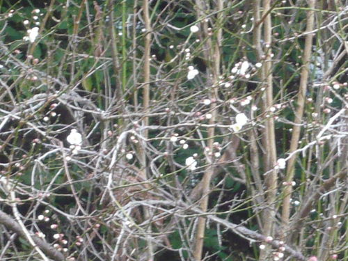 a0238019_20323884.jpg