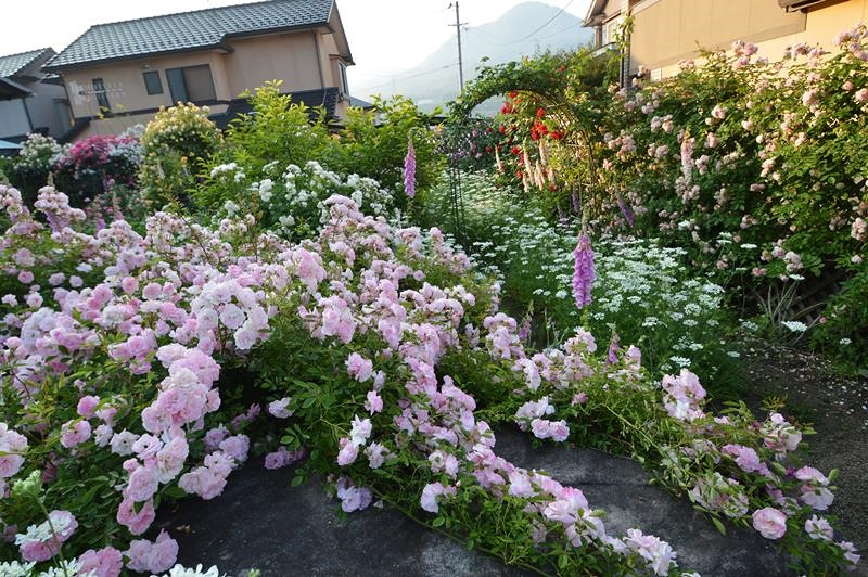 石への誘引完了 春がすみに５時間も Doriのお気に入り