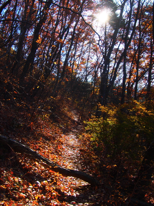 b0244424_36369.jpg